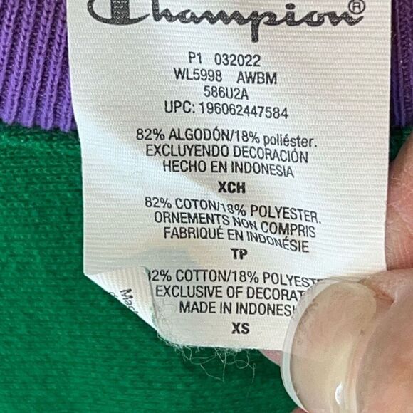 Champion Reverse Weave Callout Oversized Color Block Sweatshirt Size Xsmall - Picture 7 of 12